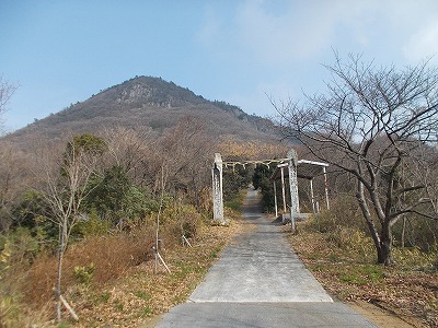 稲積山(香川県観音寺市)_f0308898_08593307.jpg