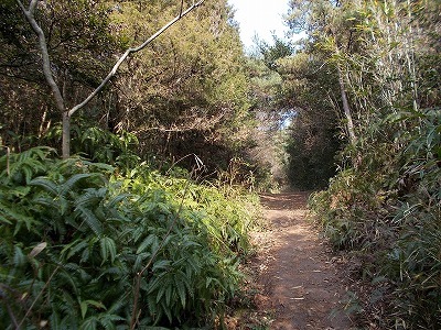 稲積山(香川県観音寺市)_f0308898_13433066.jpg