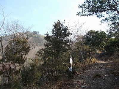 稲積山(香川県観音寺市)_f0308898_13495386.jpg