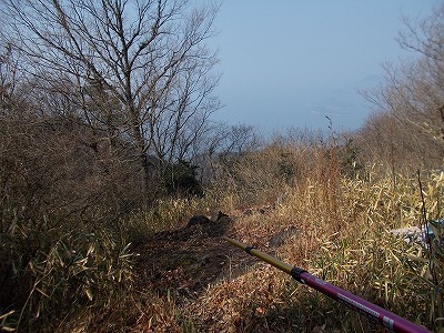 稲積山(香川県観音寺市)_f0308898_15385366.jpg