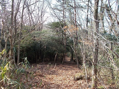 稲積山(香川県観音寺市)_f0308898_15400039.jpg