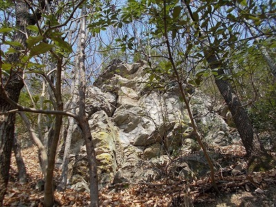 稲積山(香川県観音寺市)_f0308898_16350516.jpg