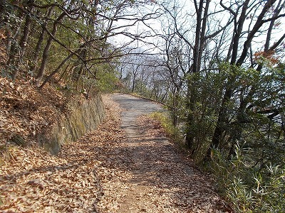 稲積山(香川県観音寺市)_f0308898_16392477.jpg