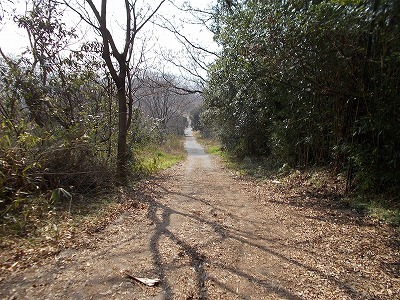 稲積山(香川県観音寺市)_f0308898_16445032.jpg