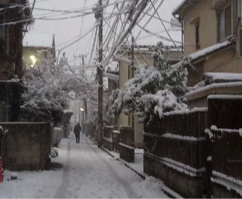 a0057402_16584578.png