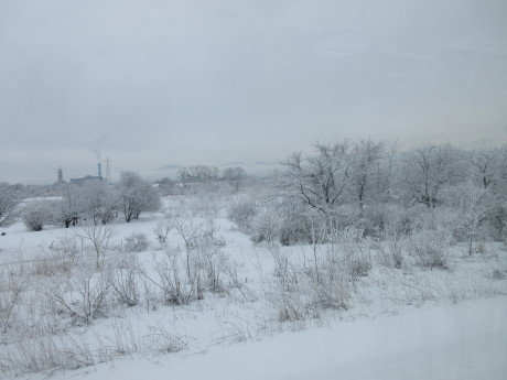 a0203003_21055335.jpg