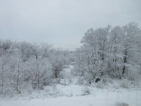 a0203003_21064757.jpg