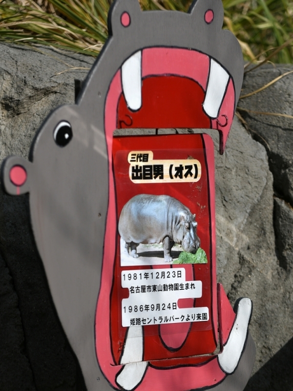 大きな口と大きな身体 Bonsoir 大きな口と大きな身体 Bonsoir