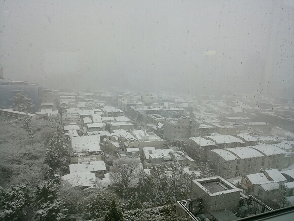 f0255704_22024823.jpg
