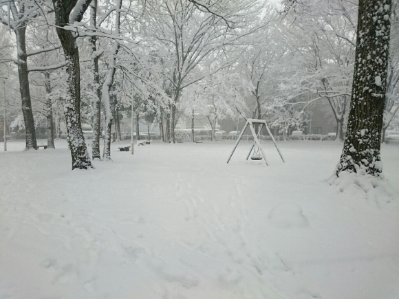 1/22  大雪の東京_b0042308_16362401.jpg