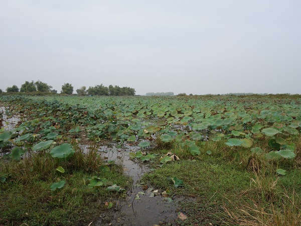 d0360509_9445243.jpg