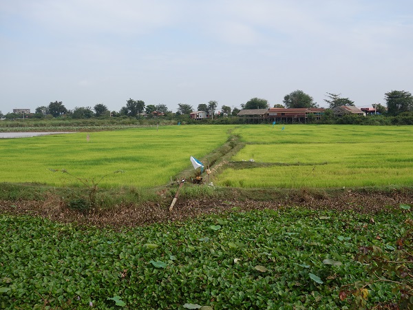 d0360509_9452431.jpg