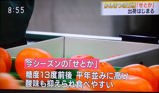 f0231709_10373693.gif