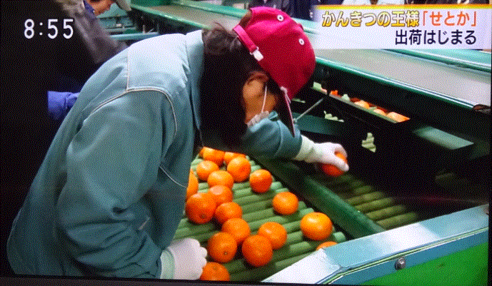 f0231709_10395028.gif