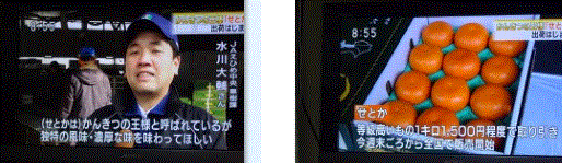 f0231709_10413946.gif