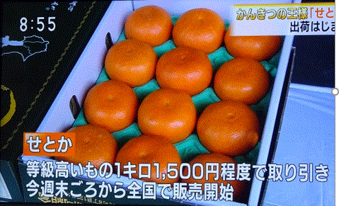 f0231709_10424495.gif