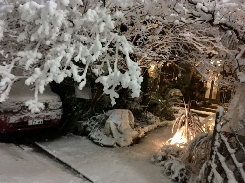 d0179410_22593616.jpeg