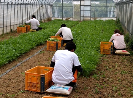 市議２年目、公私ともに責任をもてる人間に_f0328511_20262738.jpg