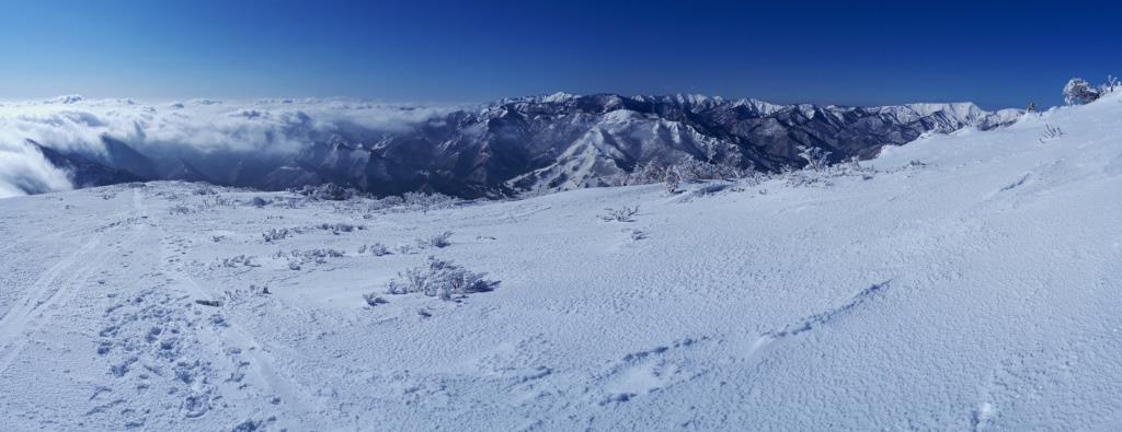 a0340812_17544901.jpg