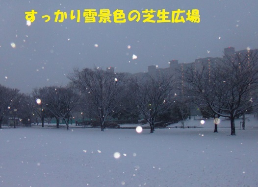 f0121712_21551195.jpg