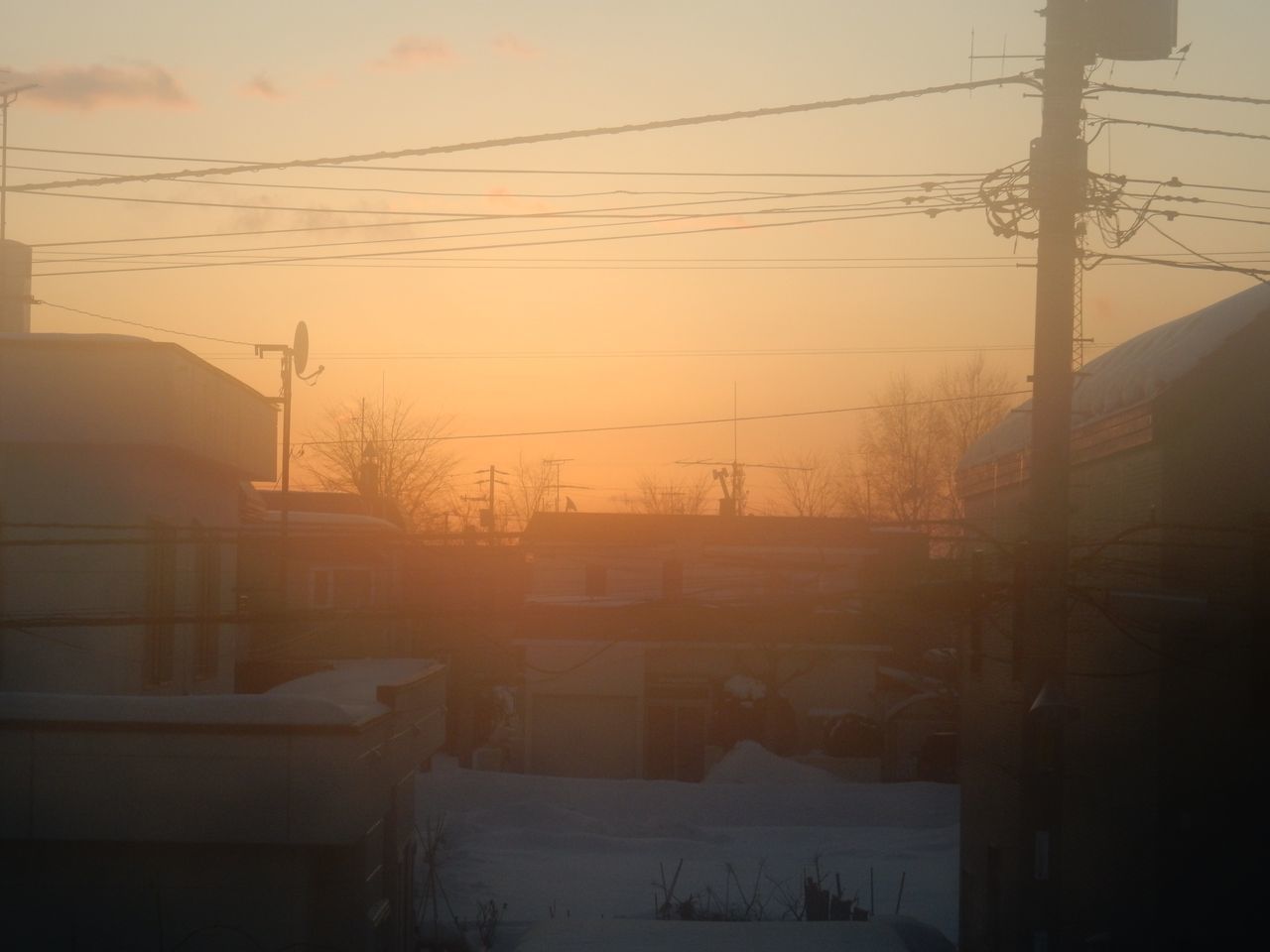 今年一番の寒さ?_c0025115_20372286.jpg