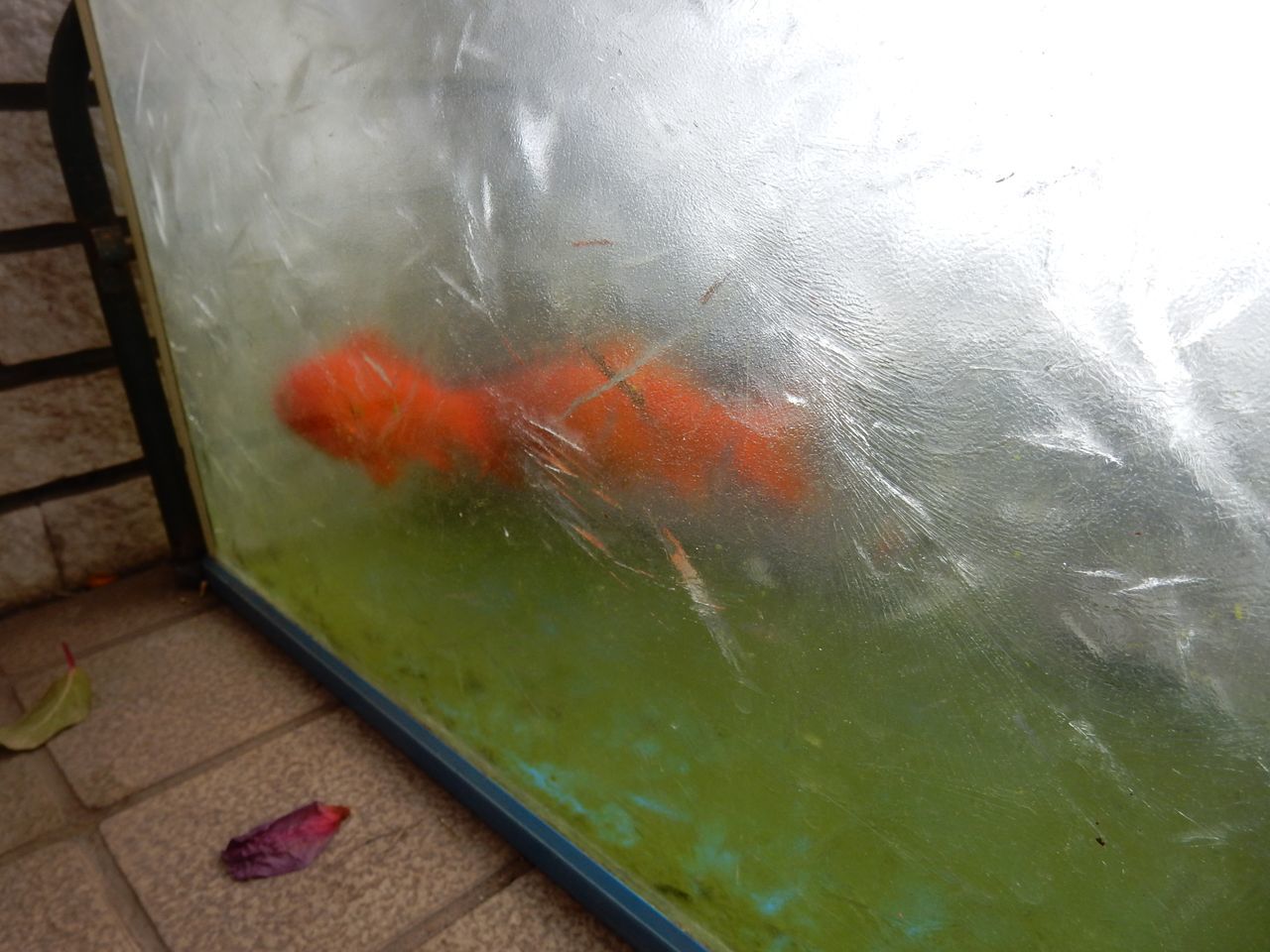 今年一番の寒さ?_c0025115_20490389.jpg