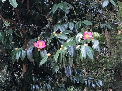 e0373815_12092724.jpg