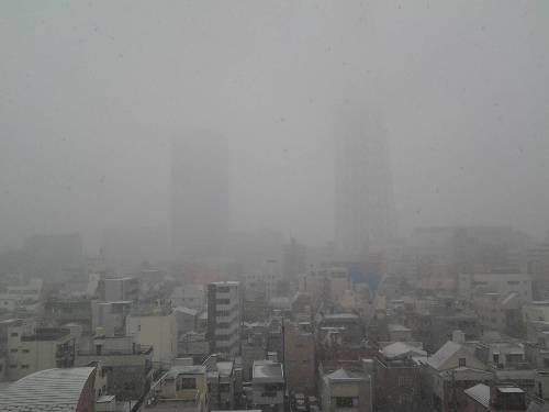 雪だよ_c0158916_17390194.jpg