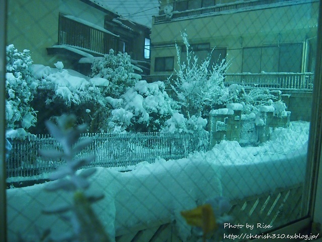 c0274618_18184743.jpg