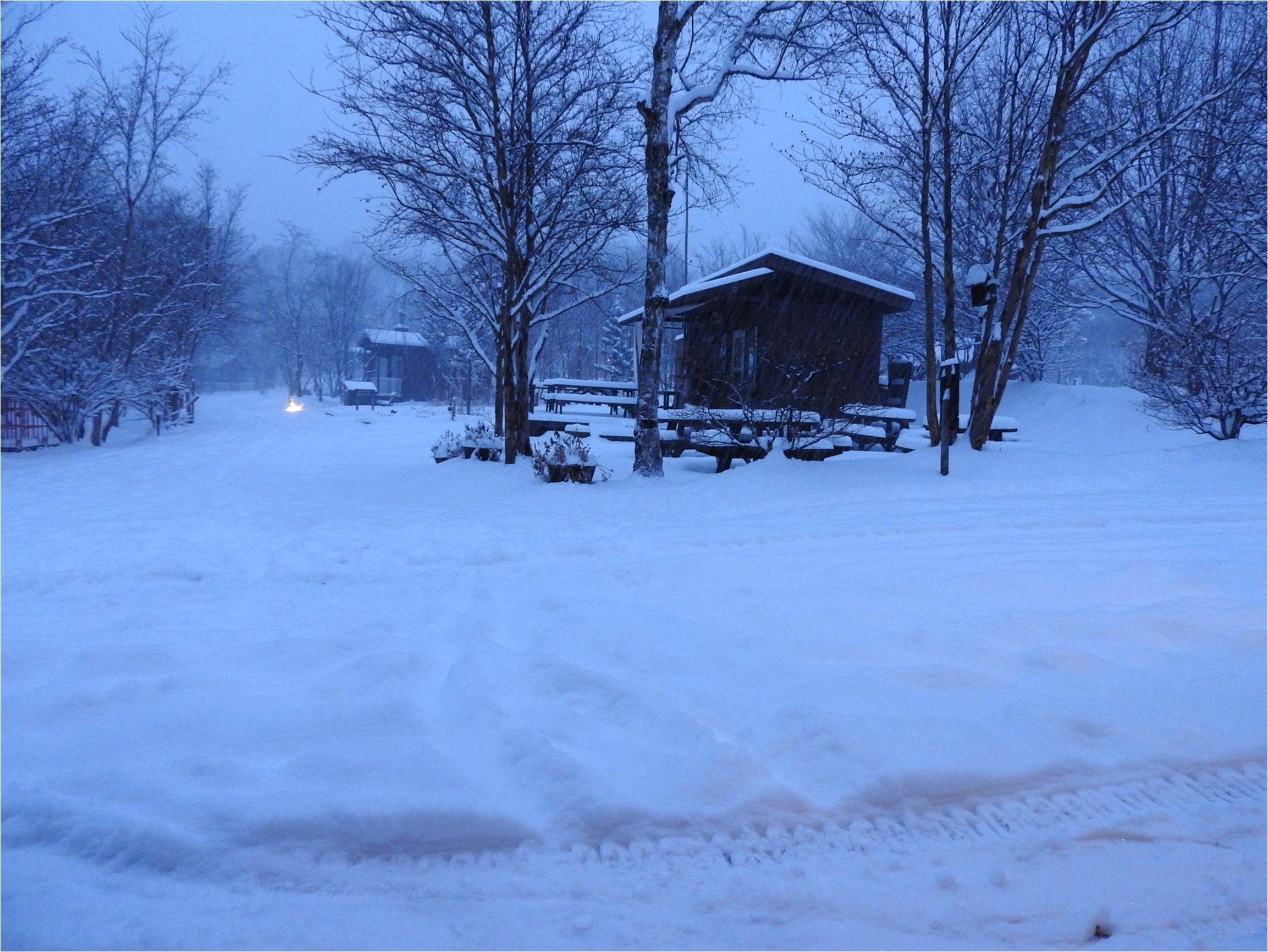 b0174425_17271627.jpg