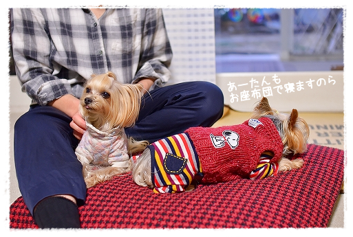 d0179828_09041605.png
