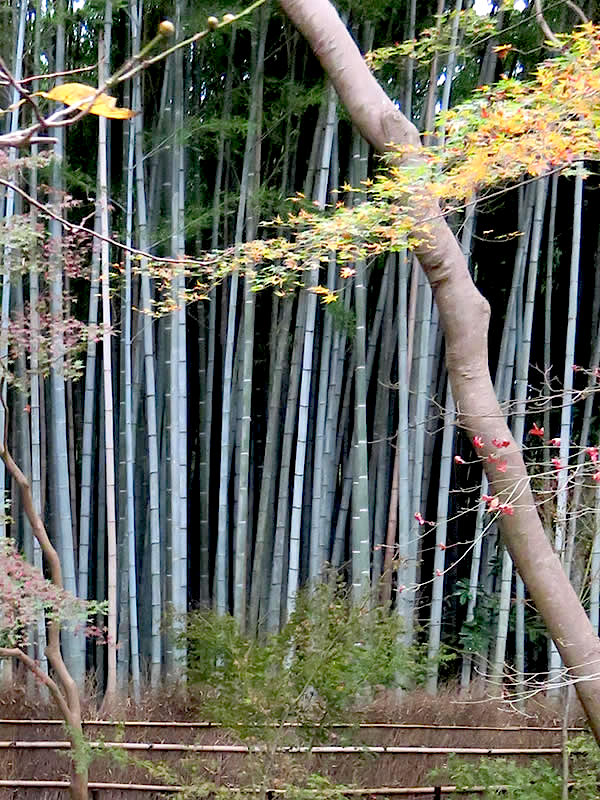 d0352628_1741451.jpg