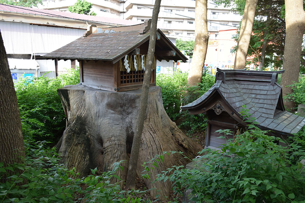 太平記を歩く。　その１９３　「楠木正儀卿駒繋樟（香具波志神社）」　大阪市淀川区_e0158128_20005106.jpg