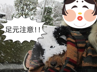 雪でも訪看さんはやってくる!_b0320131_15012211.png
