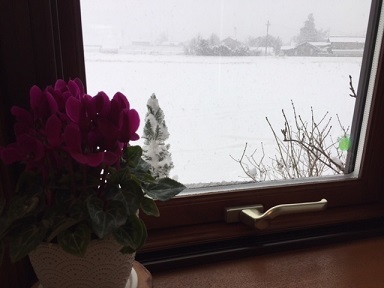 a0272241_15164408.jpeg