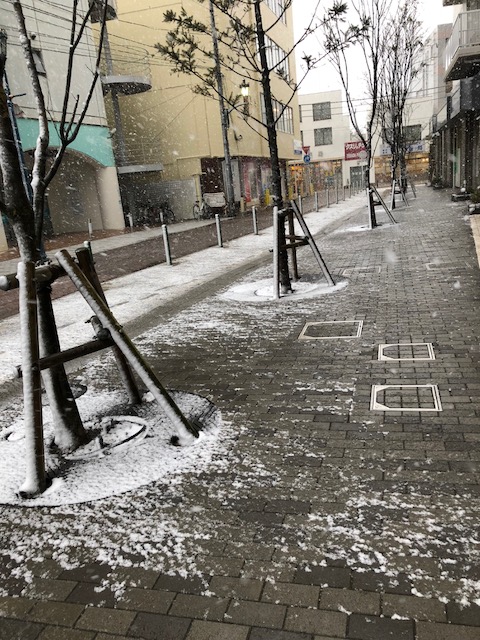 c0076141_15105555.jpg