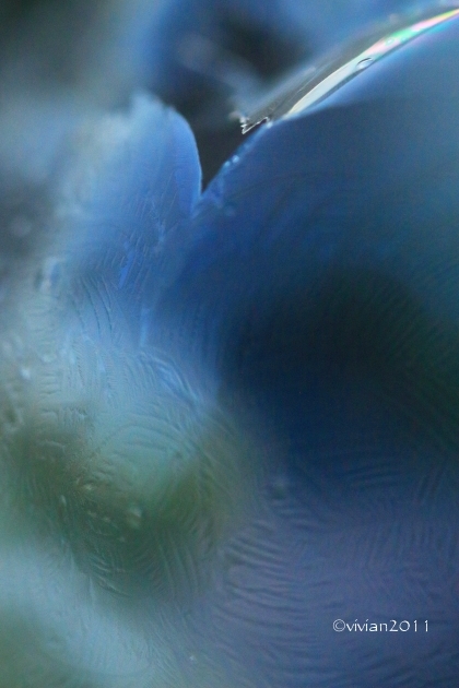 近頃の写真つれづれ_e0227942_22405752.jpg