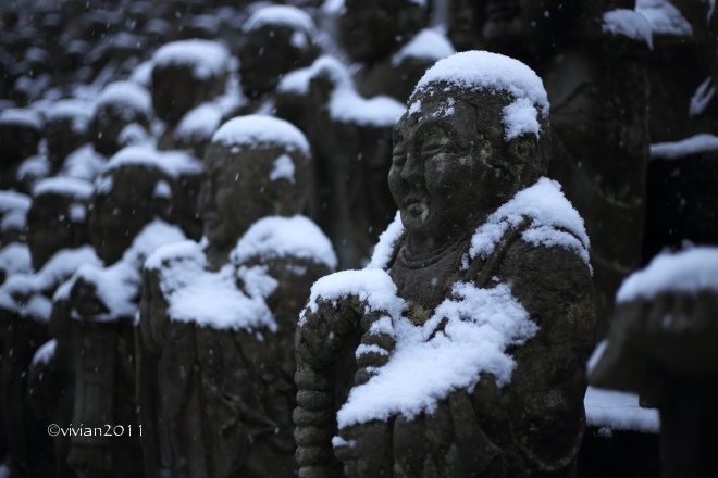 近頃の写真つれづれ_e0227942_22493310.jpg