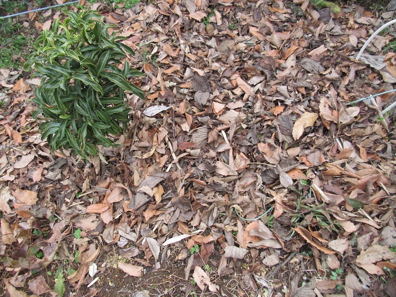 d0333943_05404700.jpg