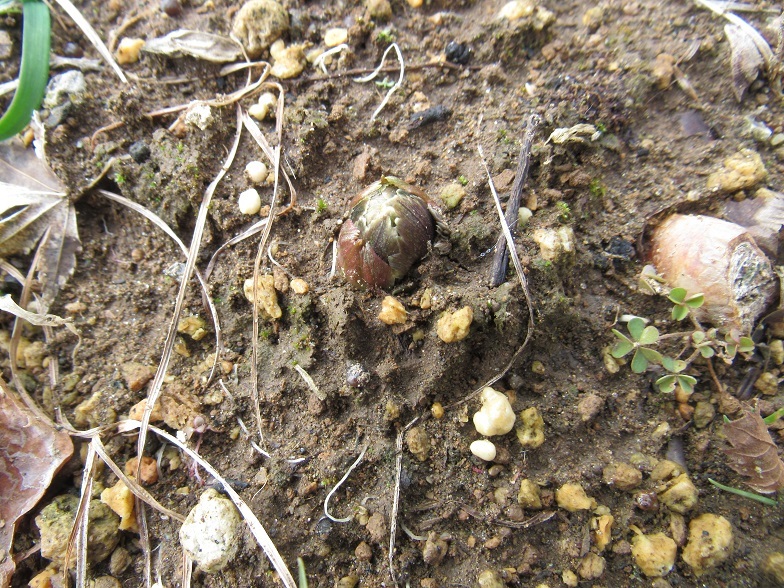 d0333943_05411877.jpg