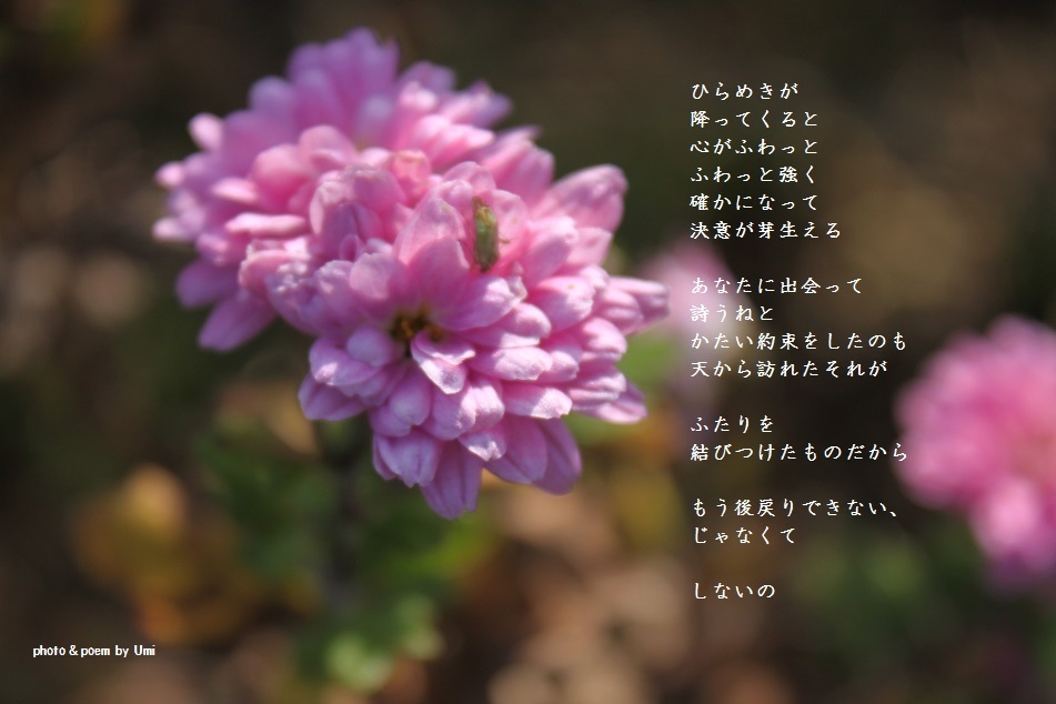 f0351844_14453351.jpg