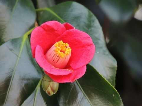c0343447_07381939.jpg
