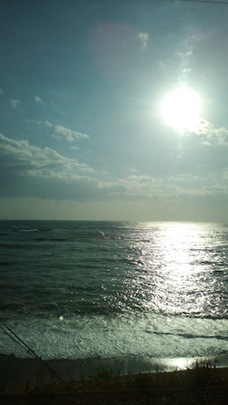 a0054948_21123904.jpg
