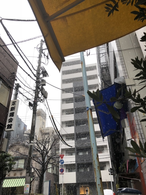 雪ーっ!積もるのか⁉︎&1月23日(火)のランチメニュー_d0243849_14513000.jpeg