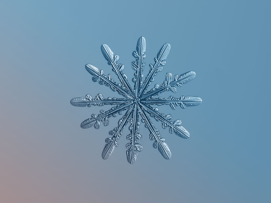 今宵は雪です。_b0299052_20430739.jpg
