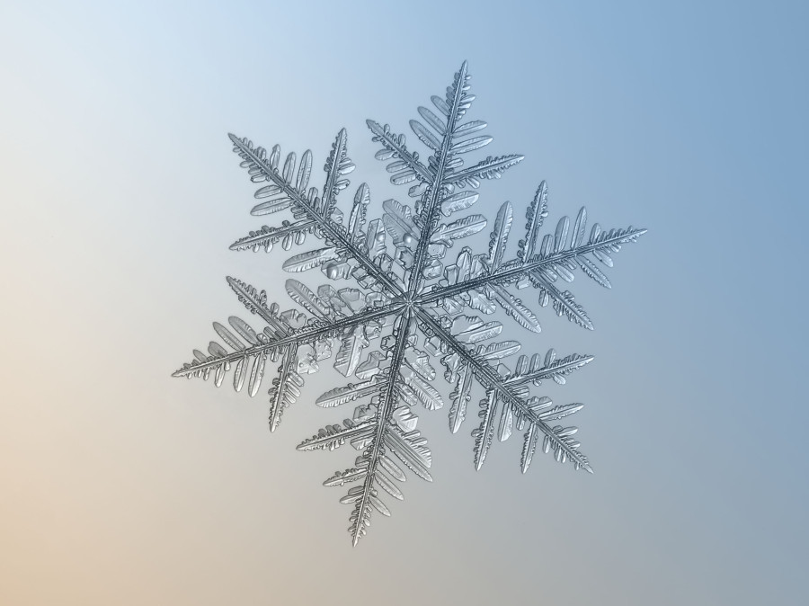 今宵は雪です。_b0299052_20432816.jpg