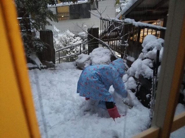 大雪やこんこ～_f0211752_19454381.jpg