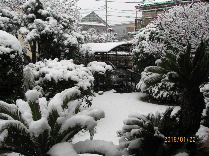 『大雪注意報でました。。。』_f0159858_15030715.jpg