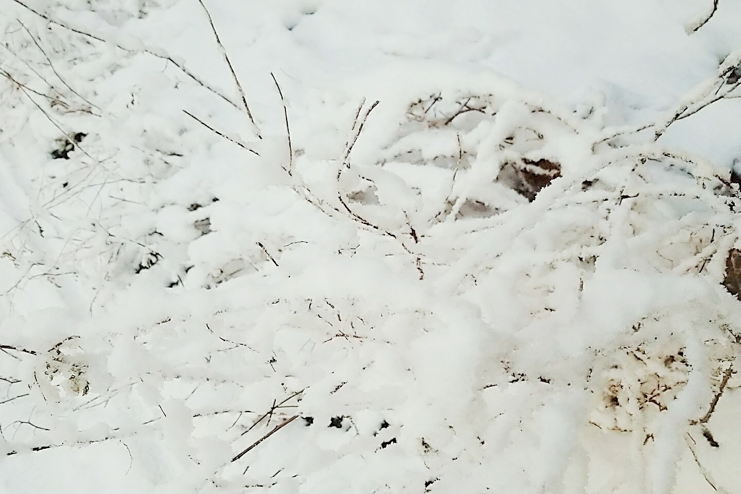 b0205159_17323396.jpg