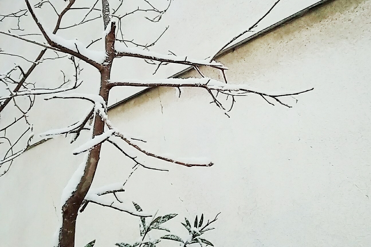 b0205159_17323492.jpg
